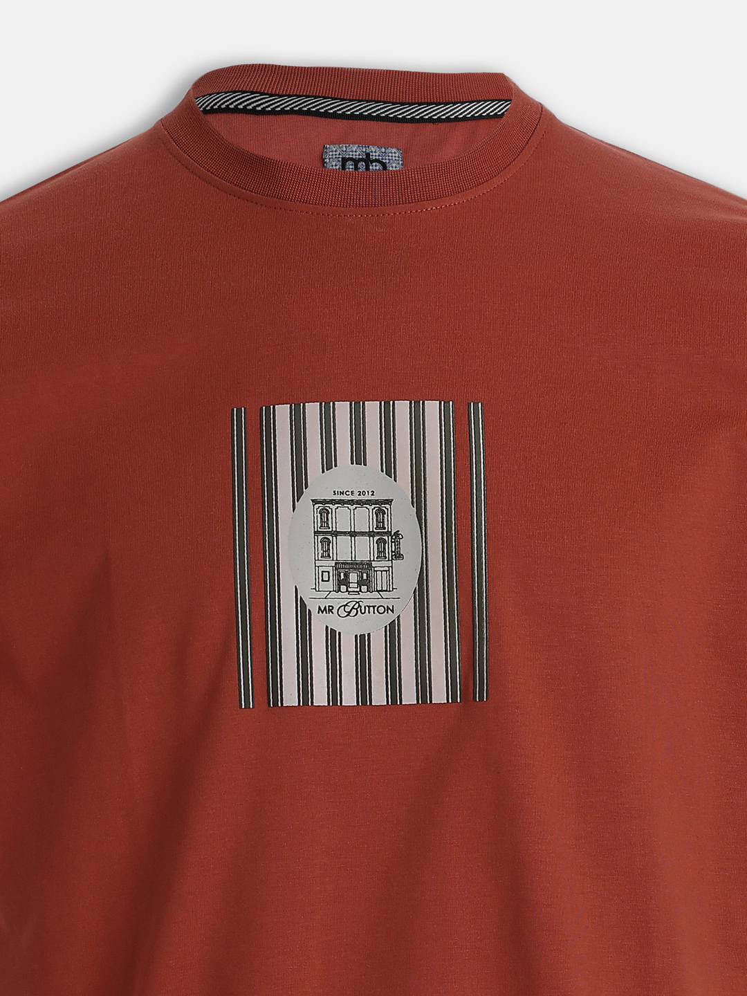 Rust Cotton Boxy Fit Printed Round Neck T-Shirt
