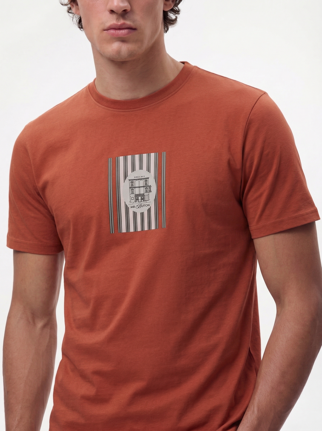 Rust Cotton Boxy Fit Printed Round Neck T-Shirt