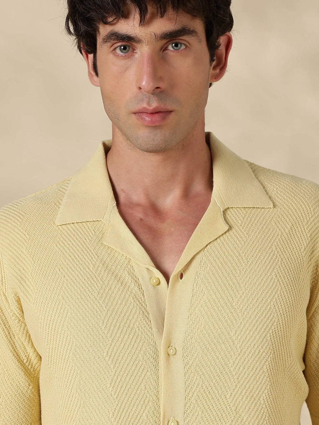 Beige Textured Regular Flat Knit Shirt
