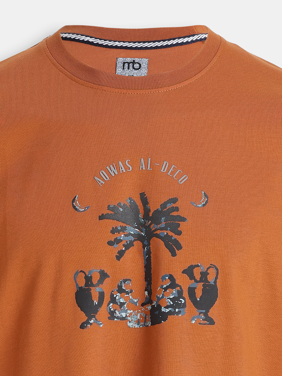 Rust Brown Cotton Boxy Fit Printed Round Neck T-Shirt