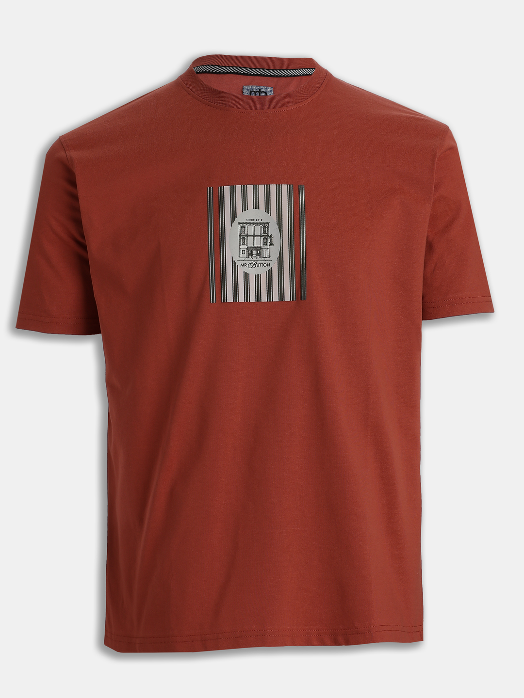 Rust Cotton Boxy Fit Printed Round Neck T-Shirt