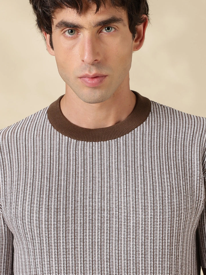Brown Stripe Slim Fit Flat Knit T-Shirt