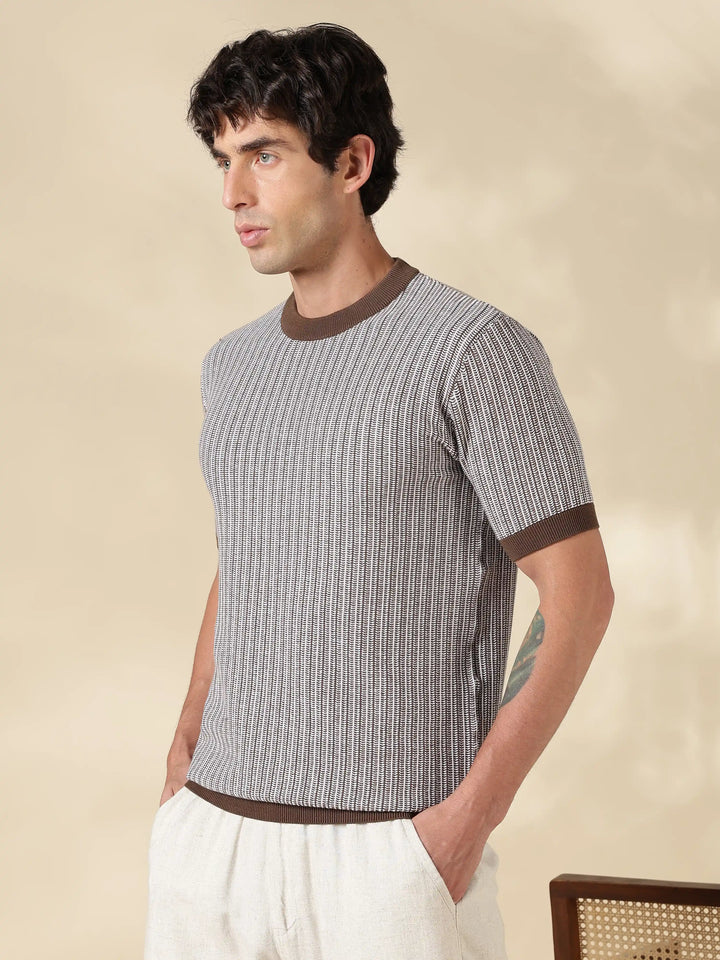 Brown Stripe Slim Fit Flat Knit T-Shirt