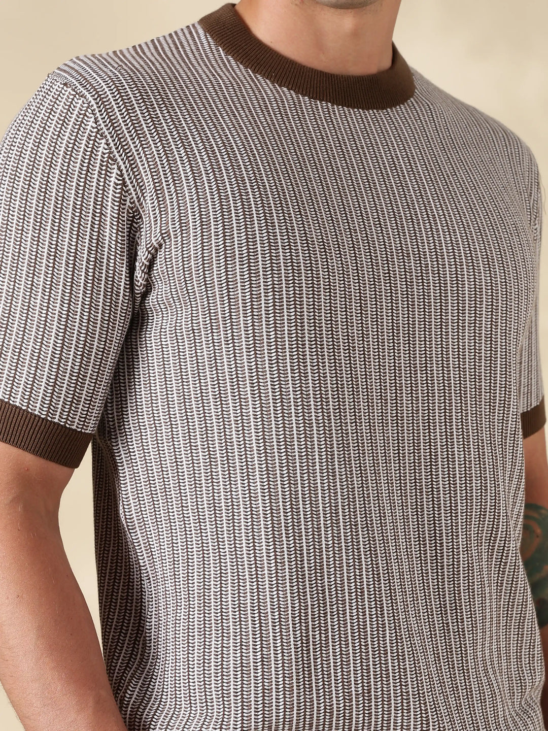 Brown Stripe Slim Fit Flat Knit T-Shirt