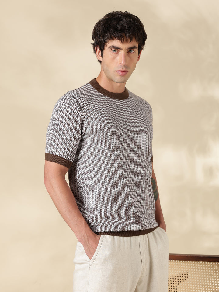 Brown Stripe Slim Fit Flat Knit T-Shirt