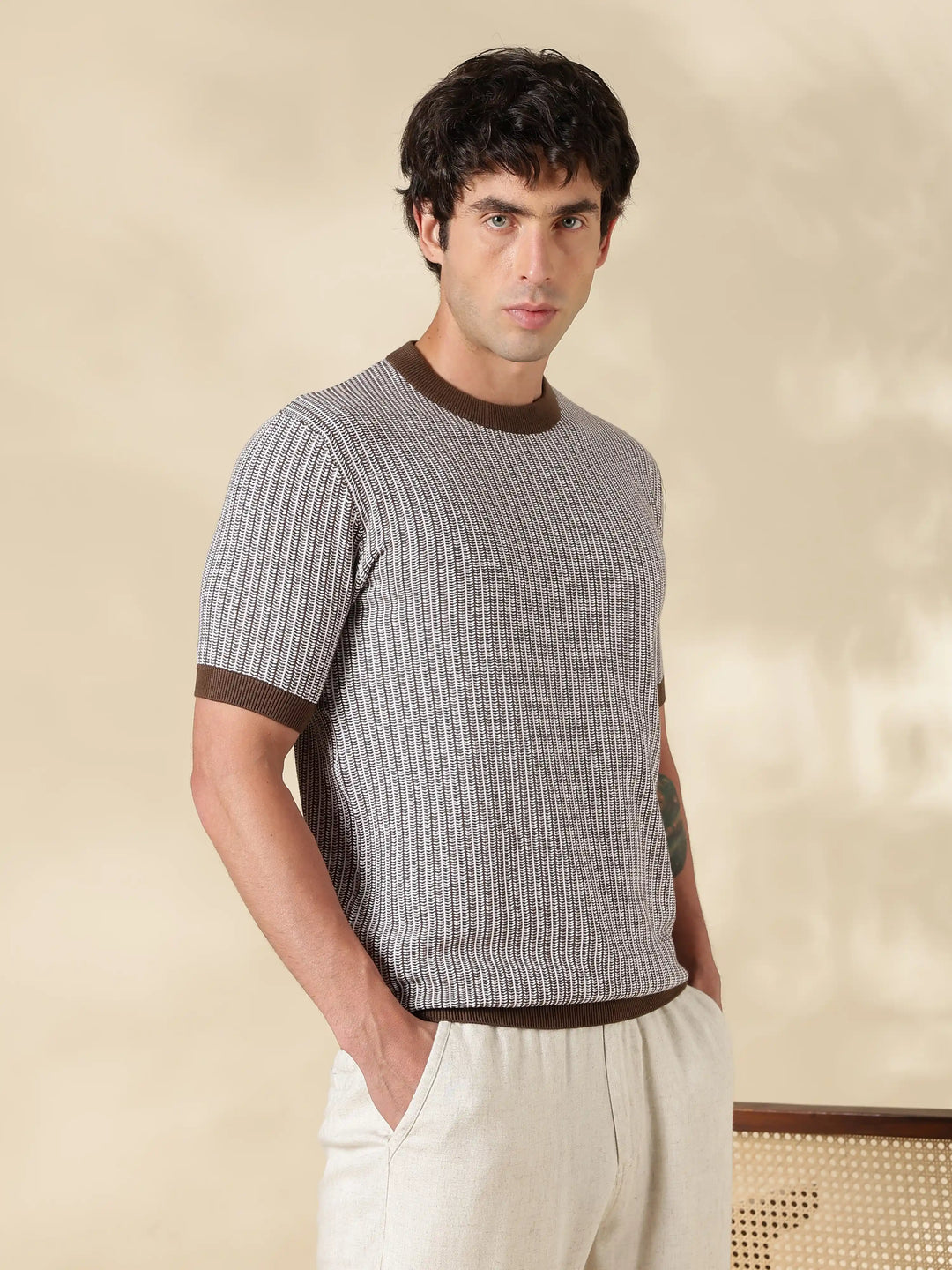 Brown Stripe Slim Fit Flat Knit T-Shirt