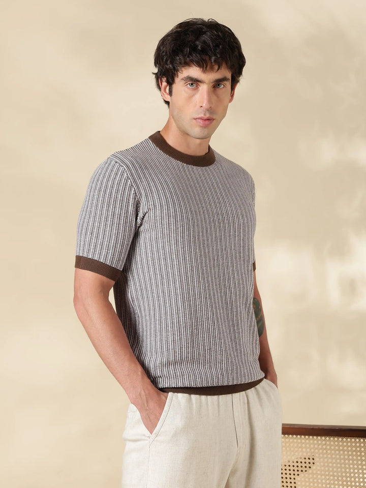 Brown Stripe Slim Fit Flat Knit T-Shirt
