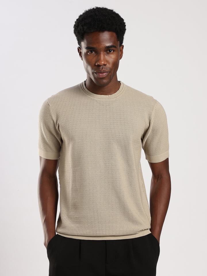 Beige Textured Regular Fit Round Neck Flat Knit T-Shirt