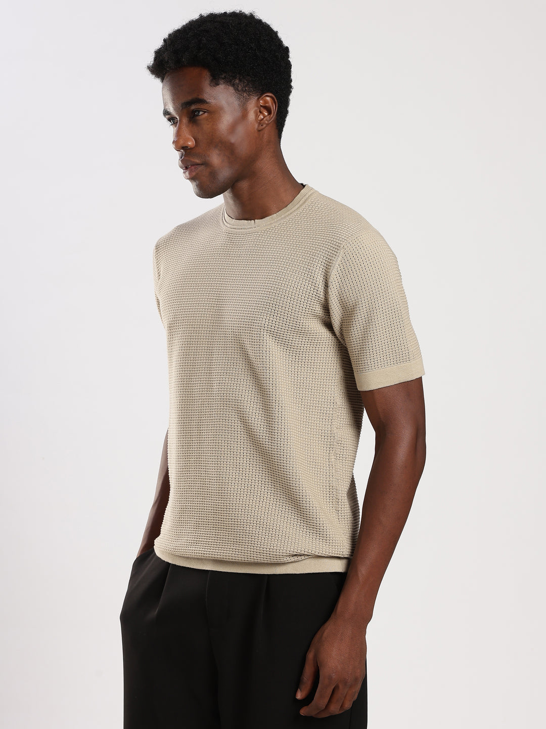 Beige Textured Regular Fit Round Neck Flat Knit T-Shirt
