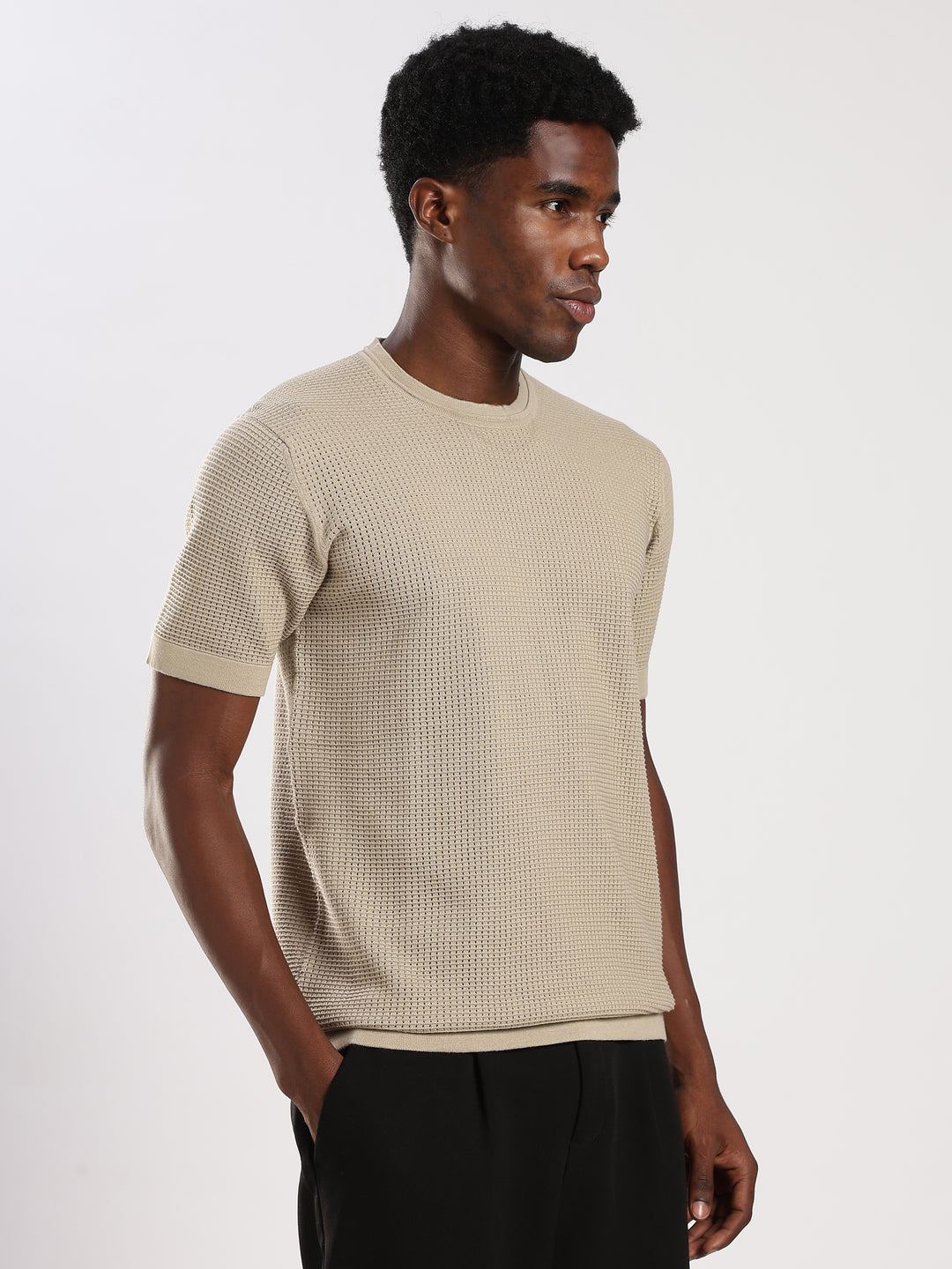 Beige Textured Regular Fit Round Neck Flat Knit T-Shirt