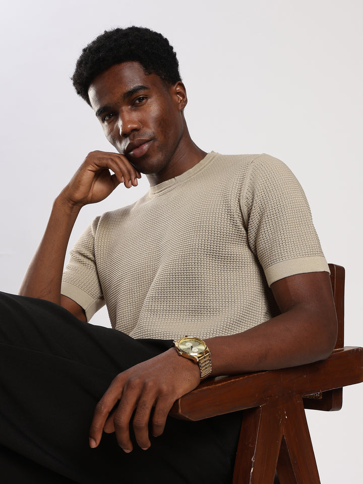 Beige Textured Regular Fit Round Neck Flat Knit T-Shirt